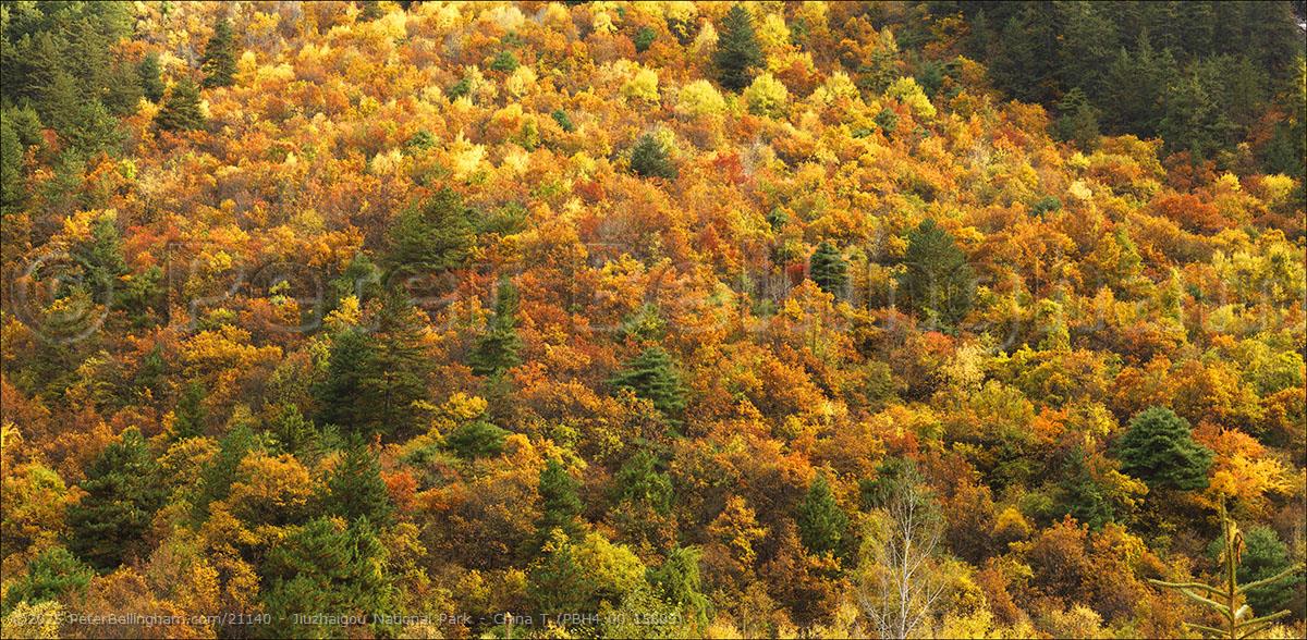 Peter Bellingham Photography Jiuzhaigou National Park - China T (PBH4 00 15803)